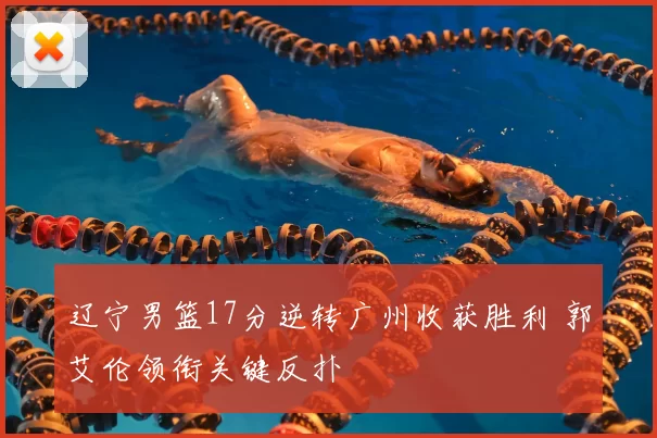 辽宁男篮17分逆转广州收获胜利 郭艾伦领衔关键反扑