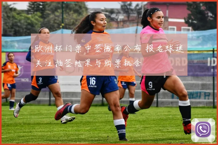 欧洲杯门票中签概率公布 报名球迷关注抽签结果与购票机会